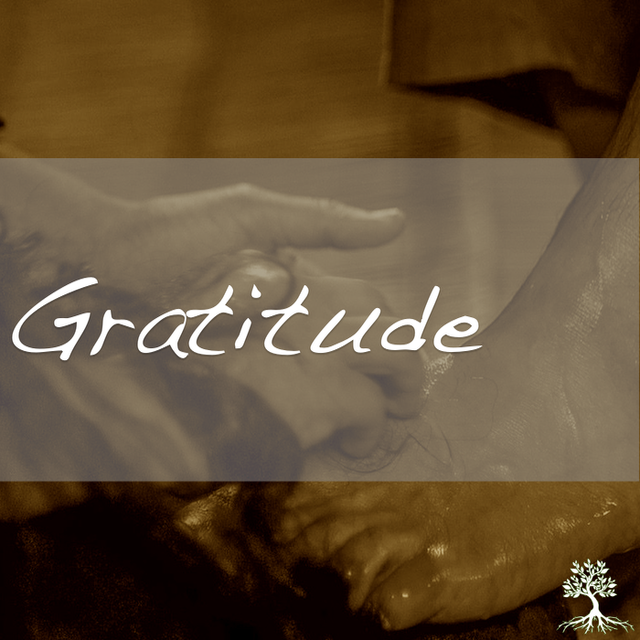 Gratitude (Natalia Terfa 6/11/17)