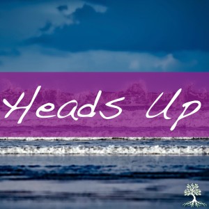 Heads Up (Natalia Terfa 12/2/18)