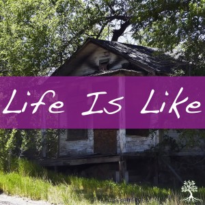 Life Is Like (Chad Brekke 9/9/18)