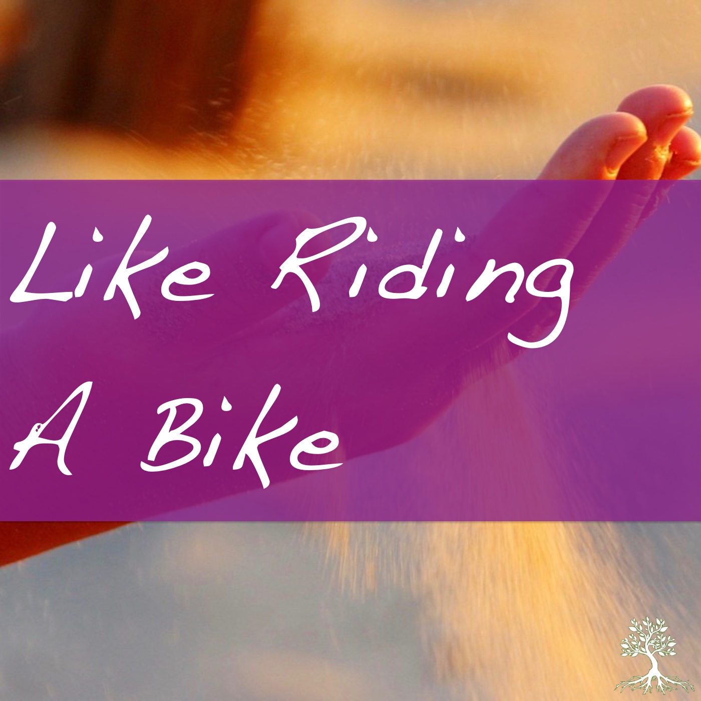 Like Riding A Bike (Chad Brekke 1/21/18)