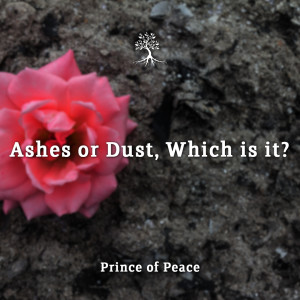 Ashes or Dust, Which Is It?