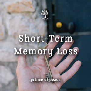 Short-Term Memory Loss