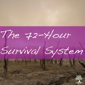 The 72-Hour Survival System (Chad Brekke 3/10/19)