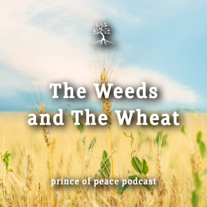 The Weeds and the Wheat