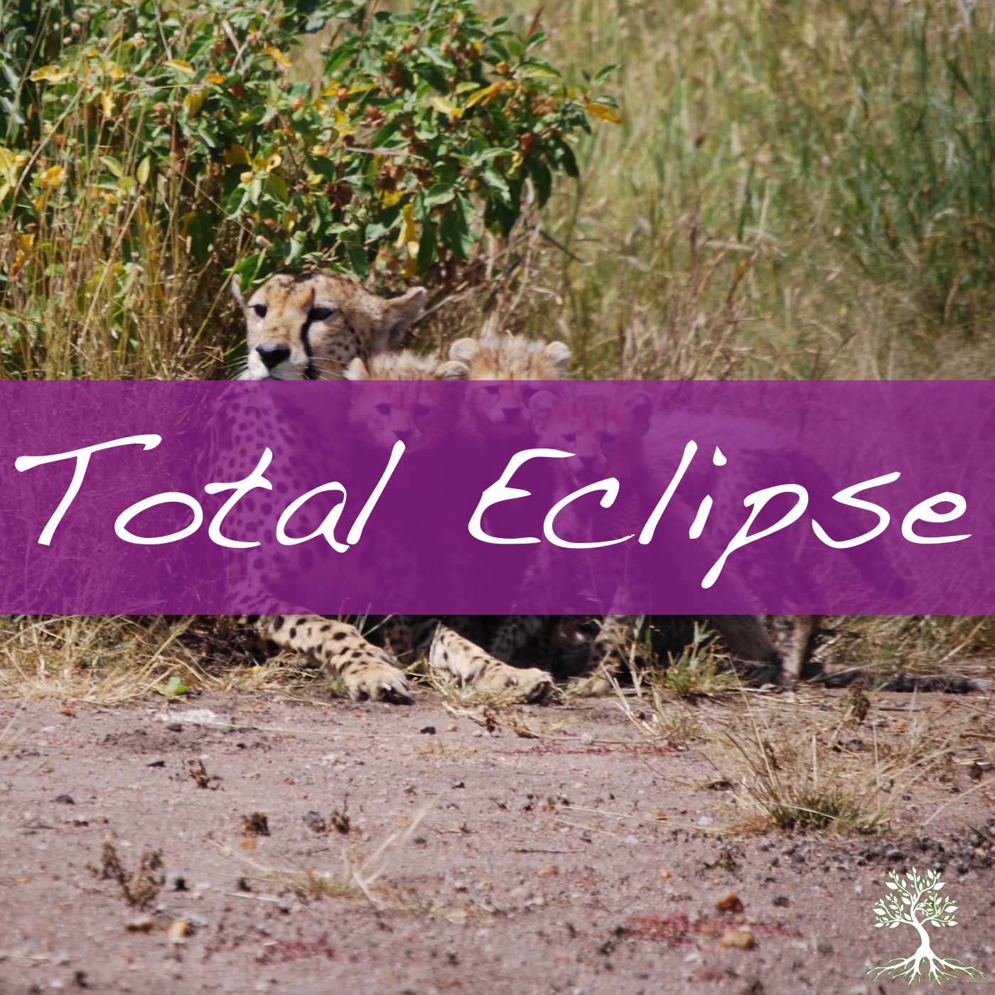 Total Eclipse (Chad Brekke 12/3/17)