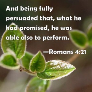 “Fully Persuaded” Pastor Andrew Chrysler 10/29/23