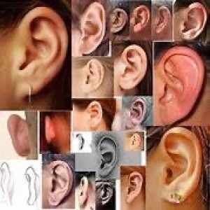 “Ears to Hear” Andrew Chrysler 6/9/24