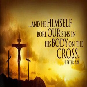”Jesus Died For Your Sins” Pastor Andrew Chrysler 1/22/23