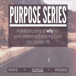 Purpose Series Week 3: 5 Peas ina Pod