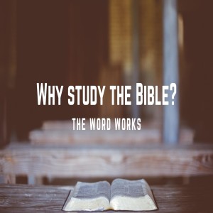 Why Study the Bible:The Word Works