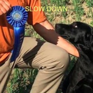 How to SLOW DOWN when handling your retriever