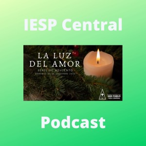 La luz del amor, por Daniel Trápala