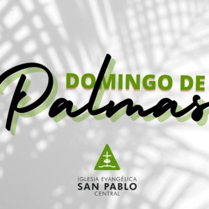 DOMINGO DE PALMAS