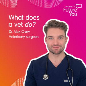 What does a vet do?