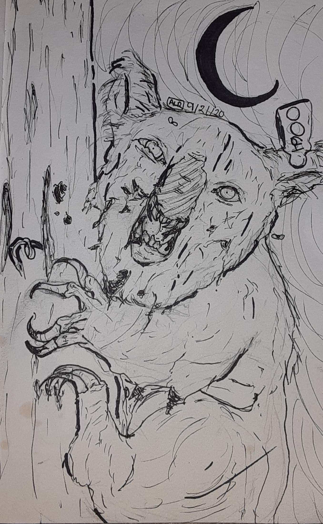 Drop Bear