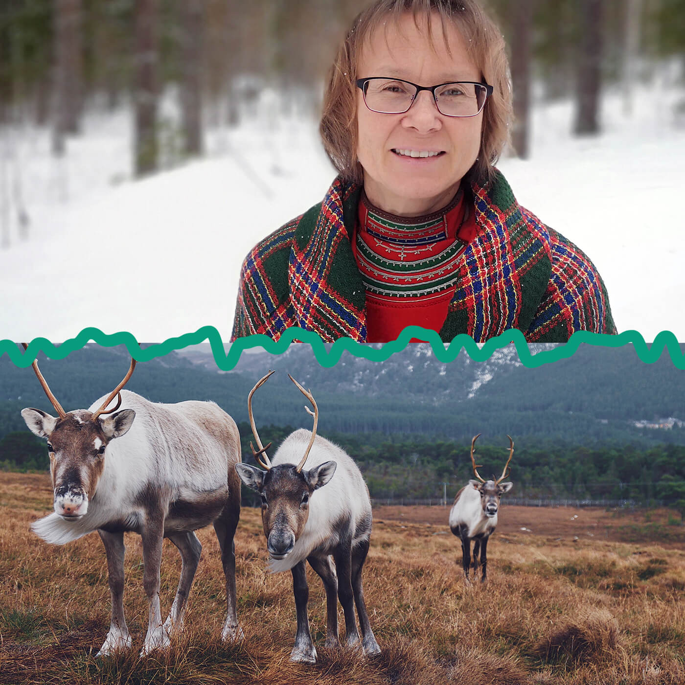 Med rak rygg genom Västerbotten
