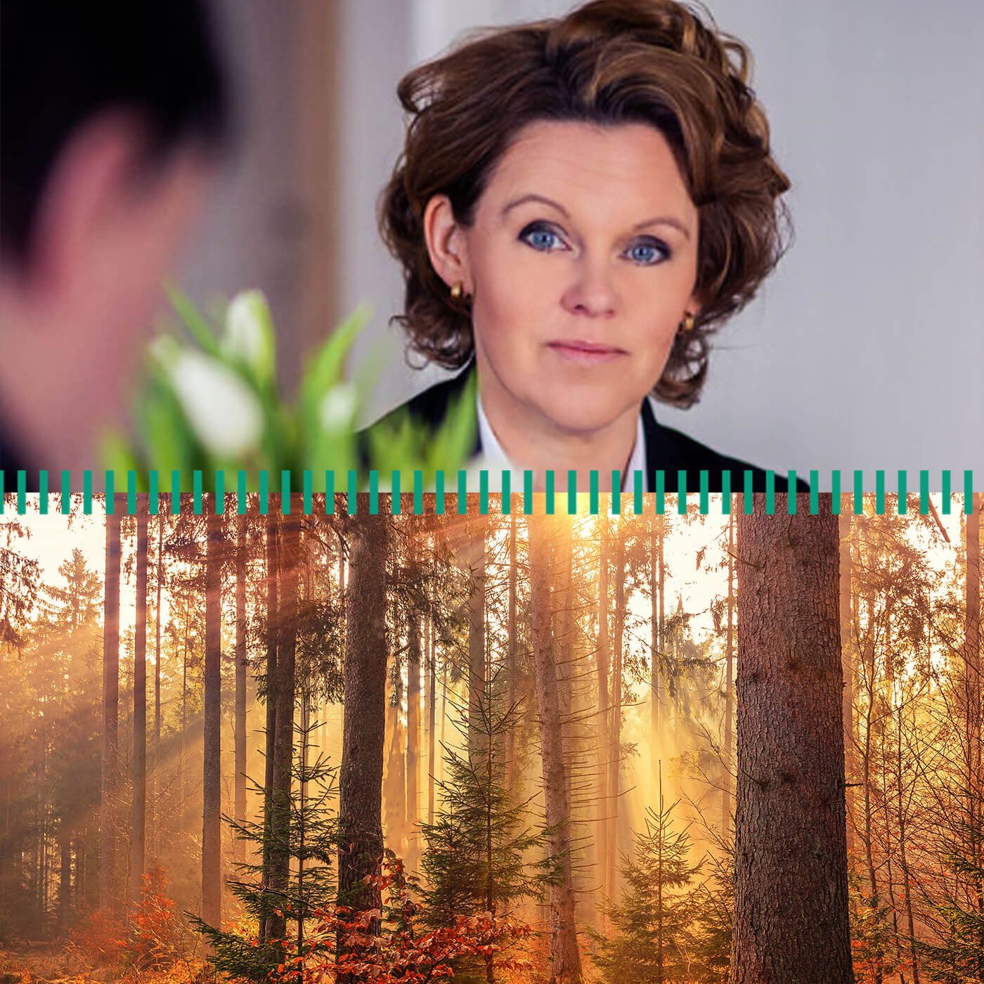 Med rak rygg genom Västerbotten