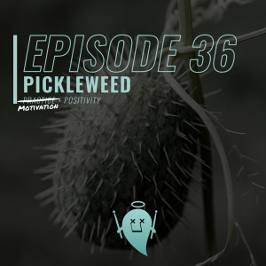 36: Pickleweed (Motivation + Positivity)