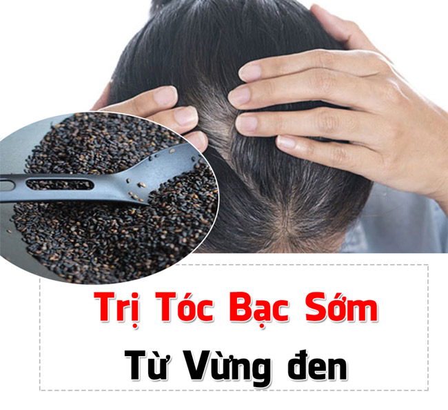 Cách trị tóc bạc sớm bằng vừng đen hiệu quả cực kì
