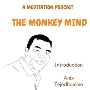 1. Introduction to The Monkey Mind Podcast