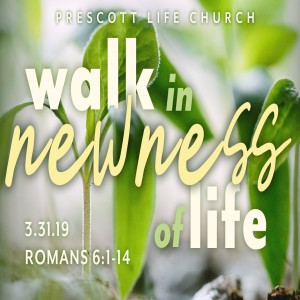 Walk in Newness of Life
