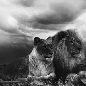 To Be Freely Loyal