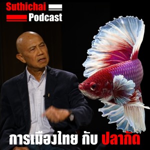 การเมืองไทยกับปลากัด