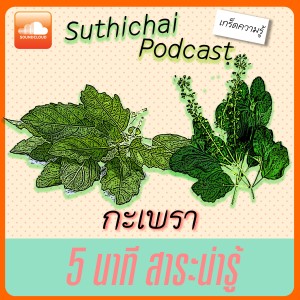 สาระเพียงคลิก! กับ กะเพรา