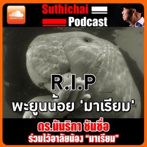 ร่วมไว้อาลัยน้อง “มาเรียม”