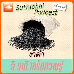 สาระเพียงคลิก! กับ งาดำ