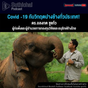 Suthichai Podcast Covid -19 กับวิกฤตปางช้างทั่วประเทศ! กับ ดร.อลงกต ชูแก้ว
