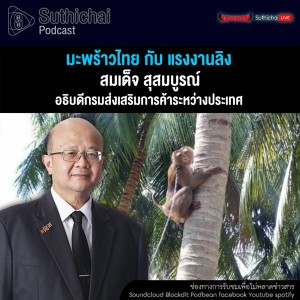 Suthichai Podcast มะพร้าวไทย กับ แรงงานลิง กับ สมเด็จ สุสมบูรณ์