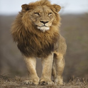 EP 10 - Mental Toughness