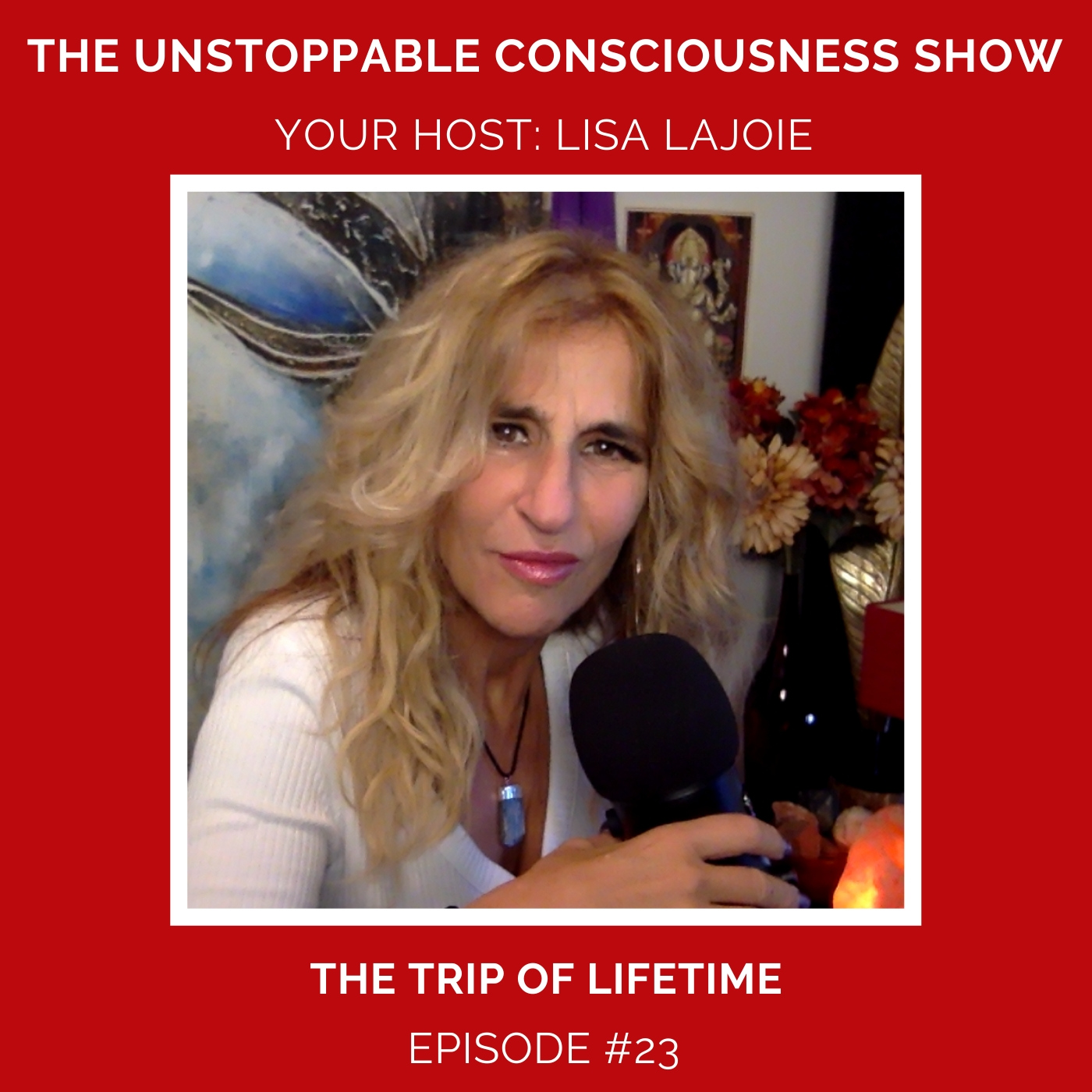 Episode #23 A trip of a life time - Lisa LaJoie