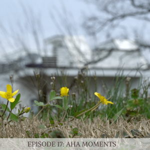 Episode 17: Aha Moments