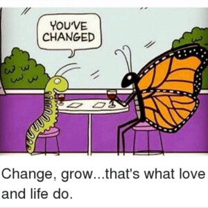 Let the caterpillar grow. ππΎ Butterfly Fly! π¦