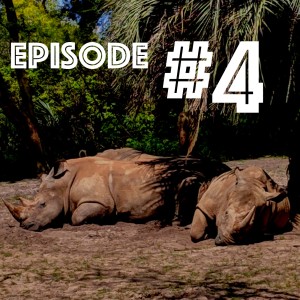 Episode 4 - Myths, Crowds, Chameleons