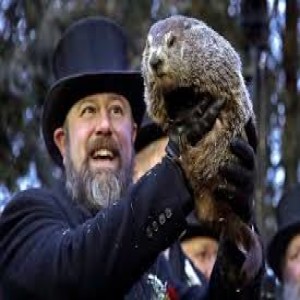 QuikRips: Its Ground Hog Day!