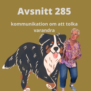 Avsnitt 285, kommunikation om att tolka varandra