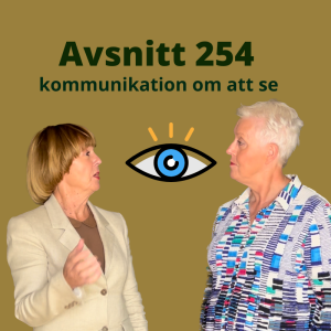 Avsnitt 254, kommunikation om att se varandra