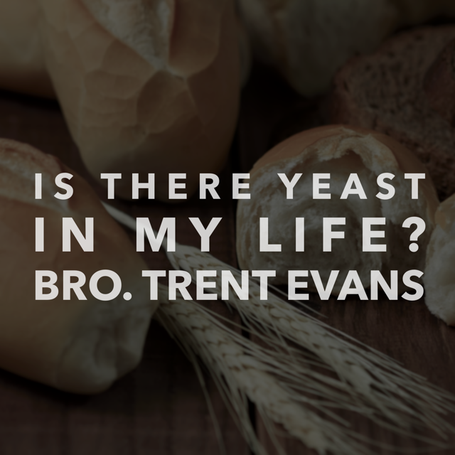 "Is There Yeast in My Life?" -Bro. Trent Evans