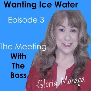 The Meeting - Episode 3 of Wanting Ice Water