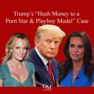 THE NY CASE: "HUSH MONEY TO A PORN STAR & PLAYBOY MODEL" CASE