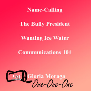 Name-Calling -The Bully President – Wanting Ice Water - Communications 101