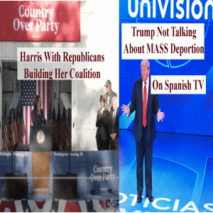 Harris is Foxy on TV-Trump Bombs on Univision