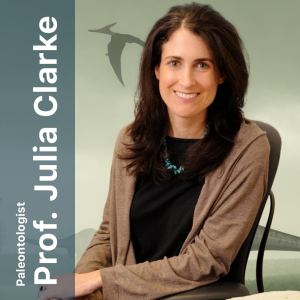 From Fossils to Flightless Birds: Julia Clarke on Dinosaurs, Kiwis, and… Pies?!