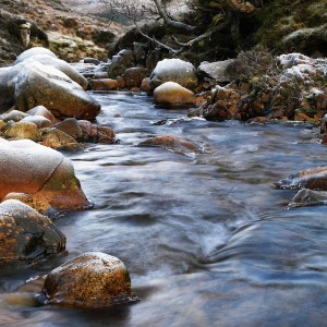 MÄRCHENHÖRSPIEL: Die Steine im Regen | German 10.3 | 7 Mai 2020