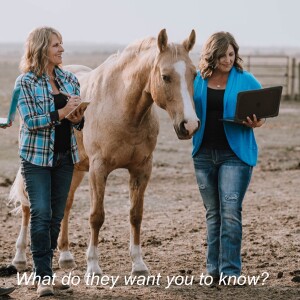 Episode 99: What do your horses want you to know?