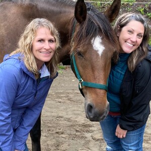 Part 2: Learn To Listen To Your Horses (In THEIR Language)