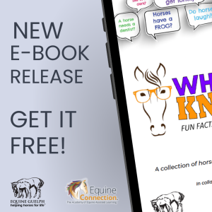 Episode 133: Equine Connection & Equine Guelph - NEW BOOK